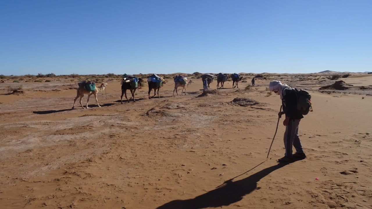 Caravane Wüstenwanderung in Marokko erg Smer cover