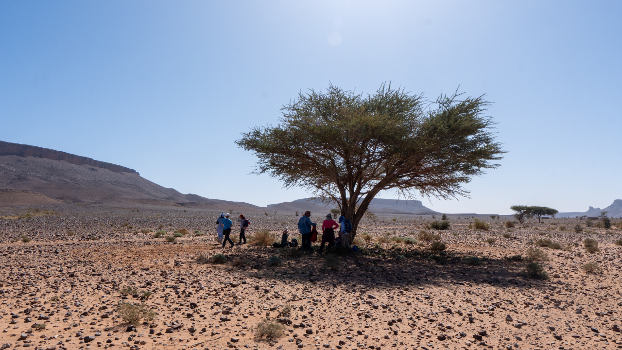 Sahara trekking Marokko Akazia