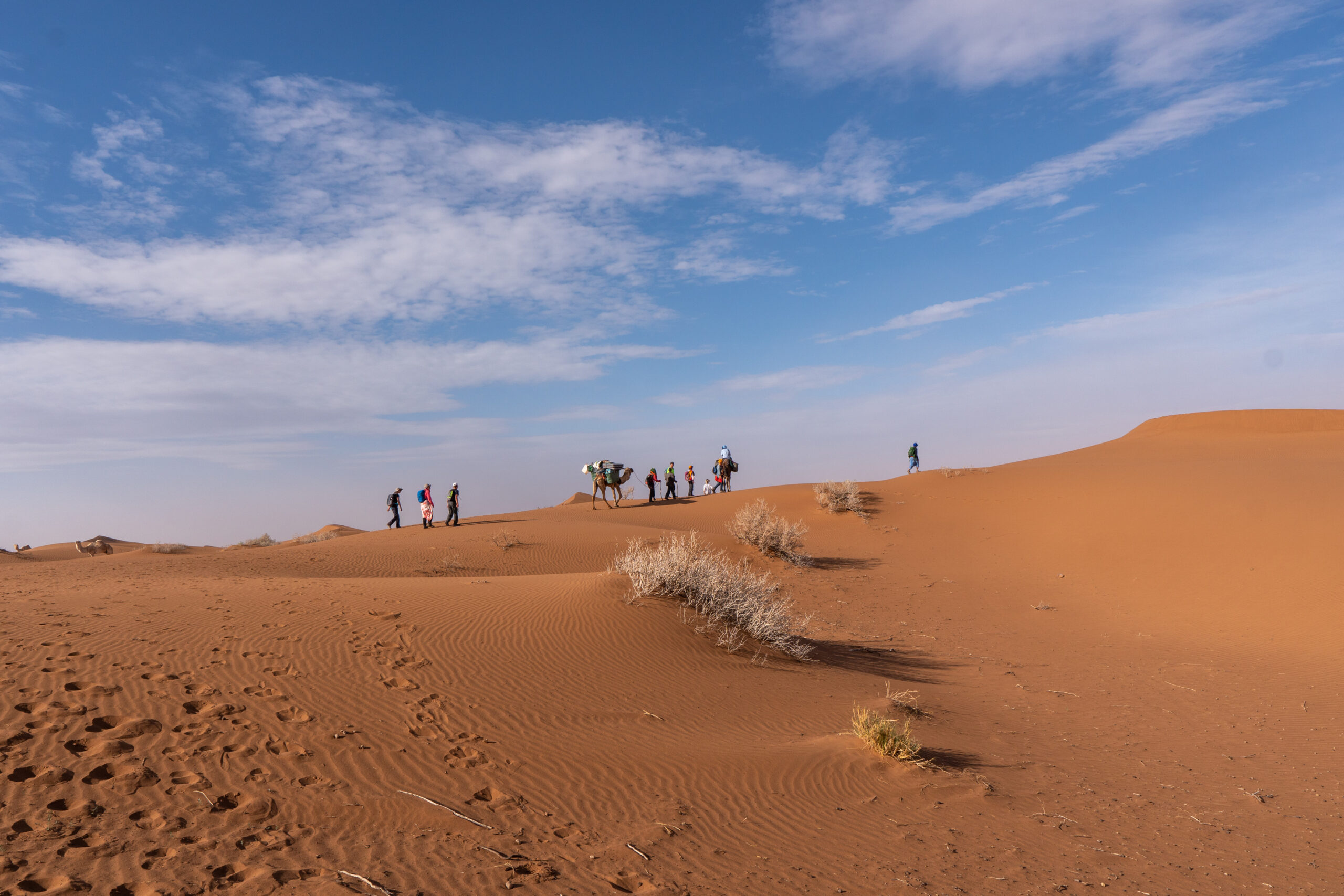 Erg Smer Trekking Touren
