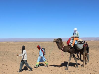 Temperatur in Marokko reitdromedar