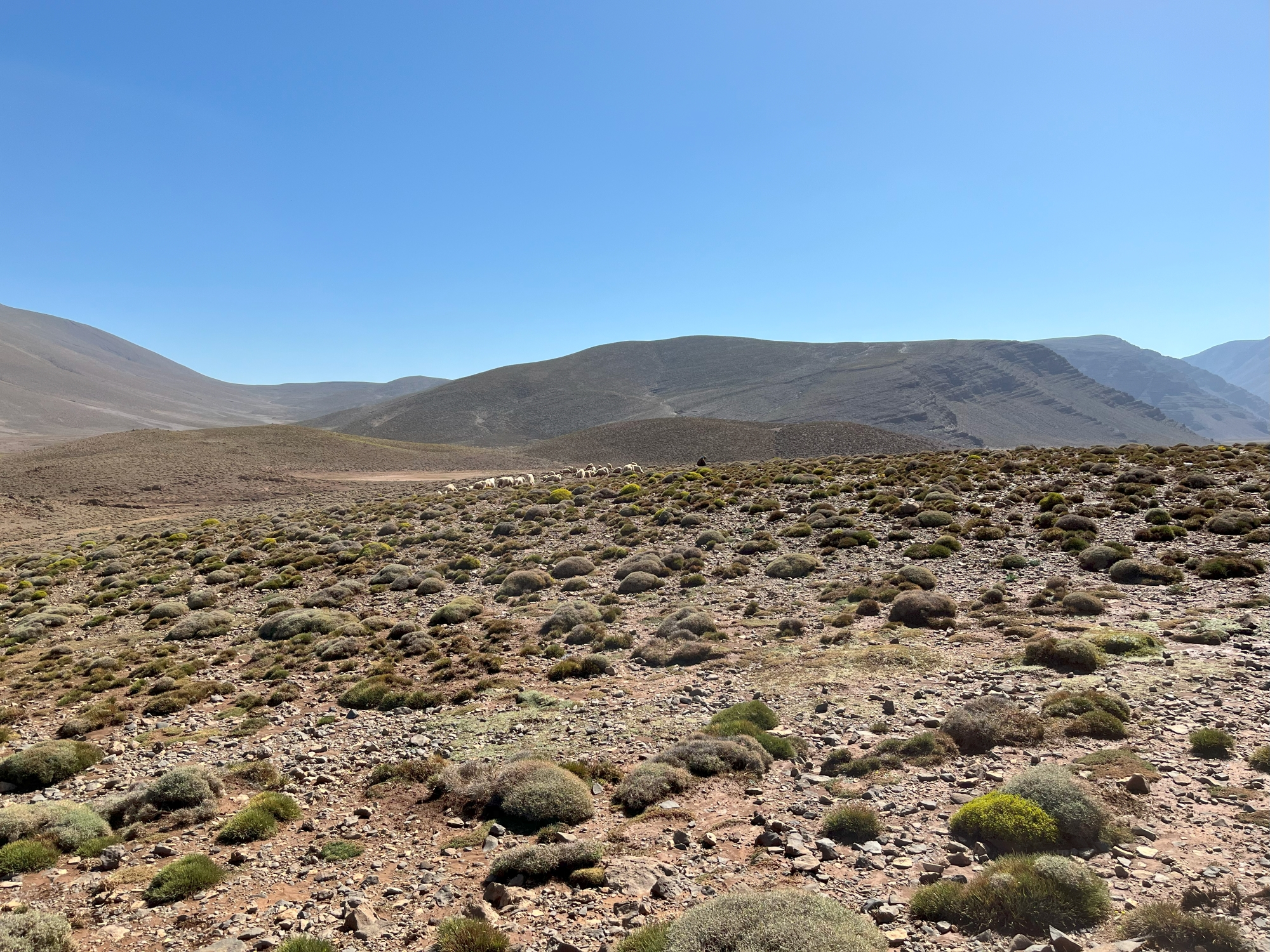 Atlas Trekking Tour Marokko Izoughar