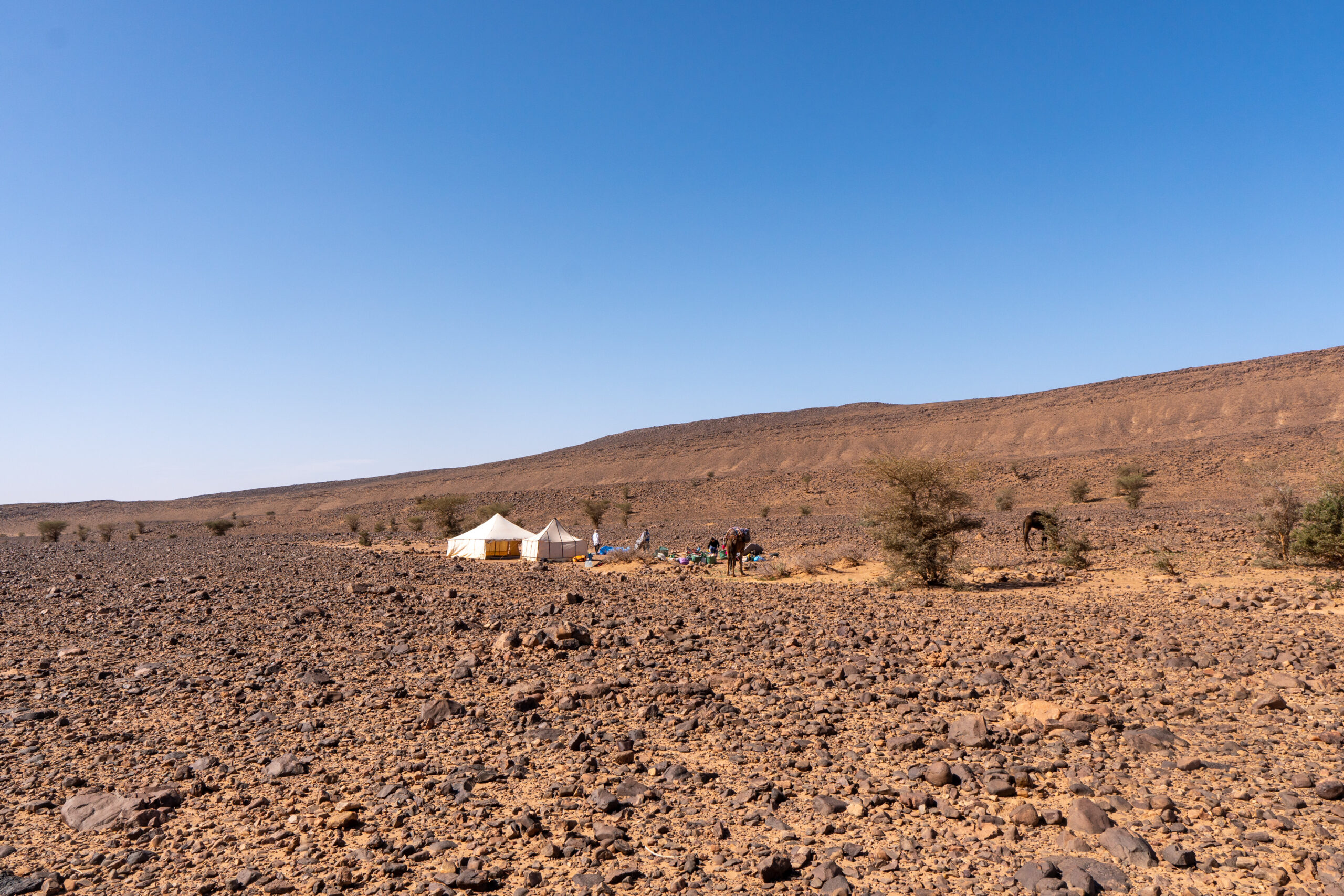 Sahara Kamping Arhal