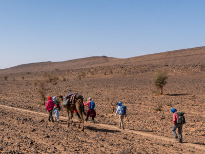 Sahara Challenge – 200 km Wüstenabenteuer von Foum Zguid nach M’Hamid 1