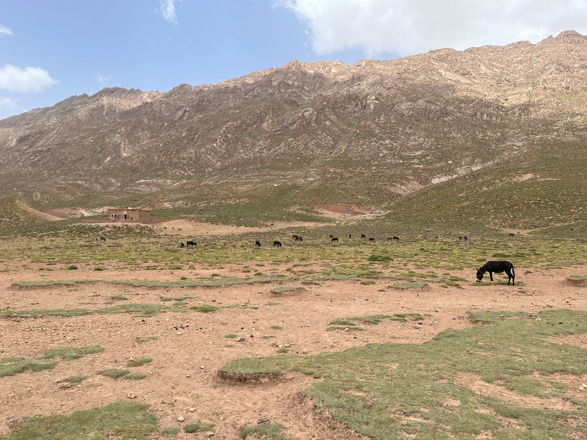 Tarkedit Marokko Trekking Telouet