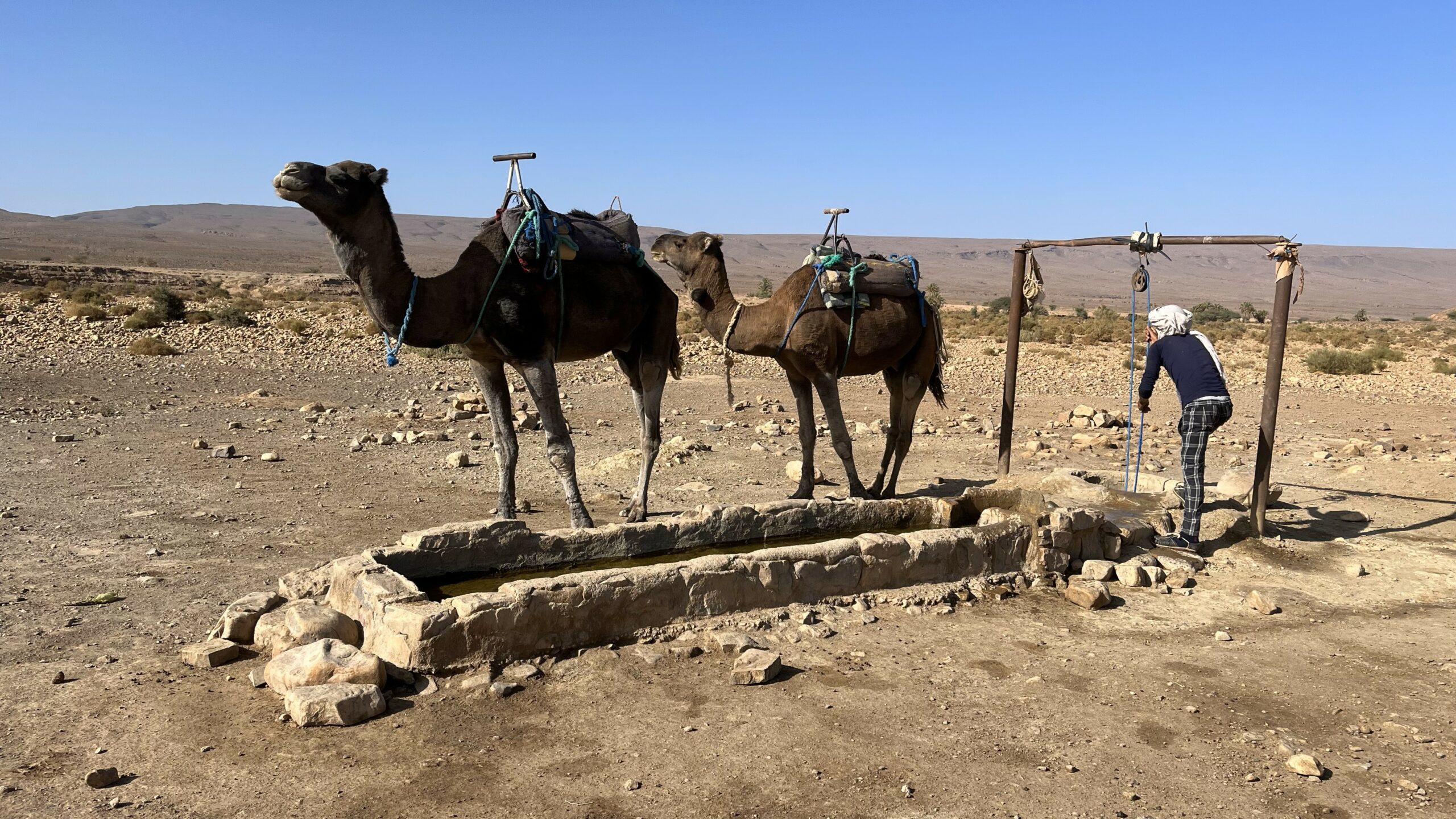 Wasser in der Wüste