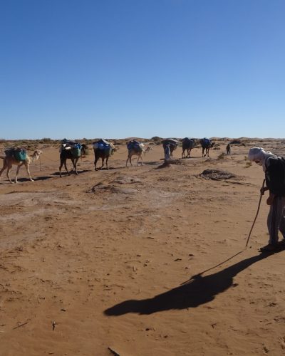 Wüsten Trek Sahara Marokko